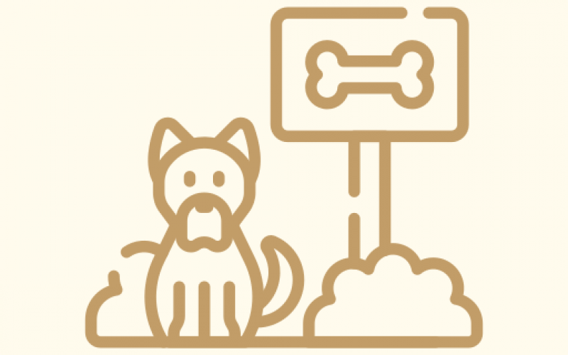dog-park
